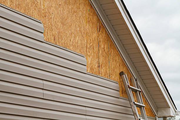 Professional Wood Siding technician working in Lucas, OH